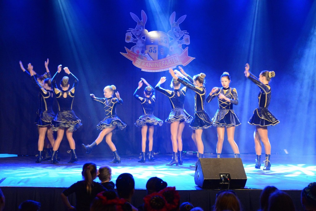 ../Images/Dansmarieke festival 2015 147.jpg